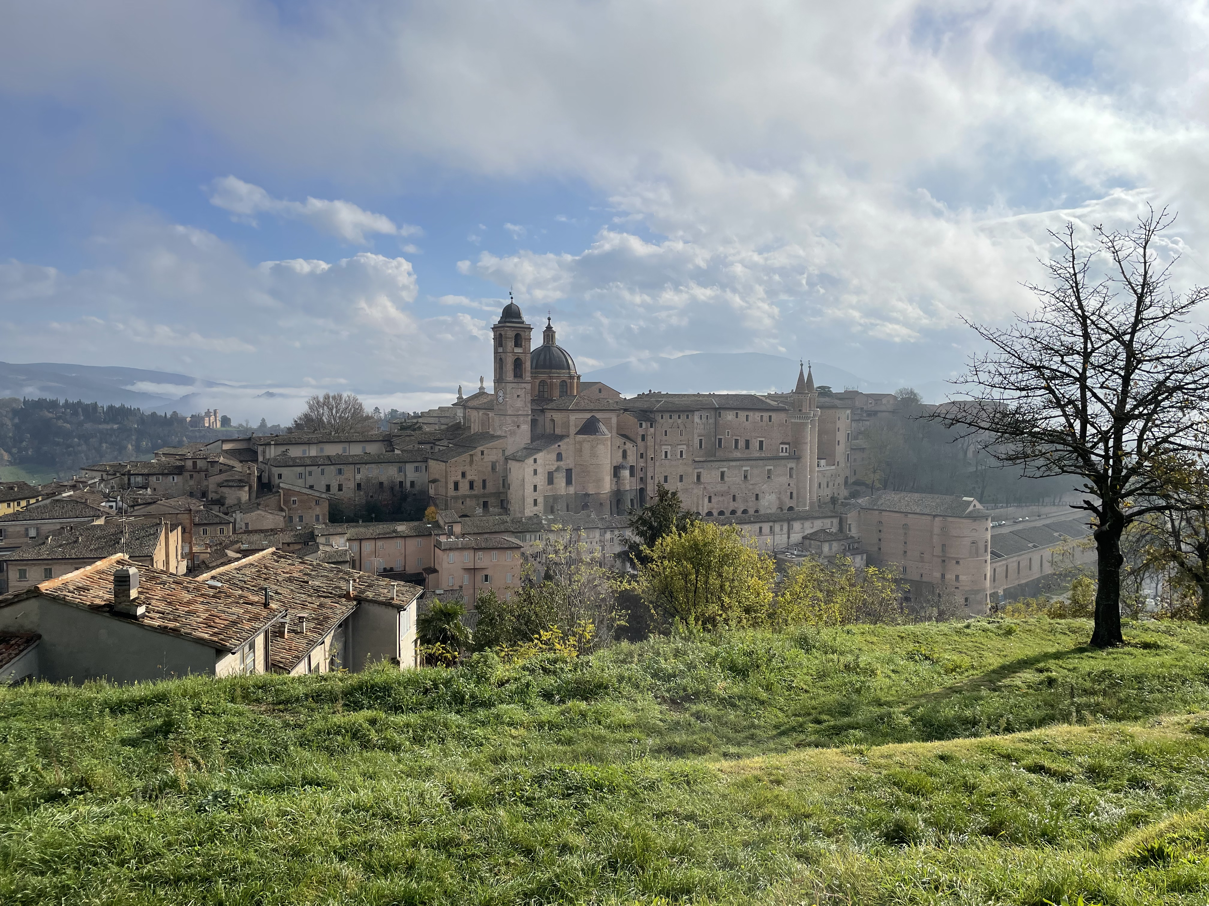 Urbino